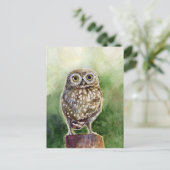 フクロウの絵画水色 ポストカード (スタンド正面)