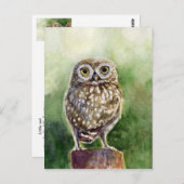 フクロウの絵画水色 ポストカード (正面/裏面)
