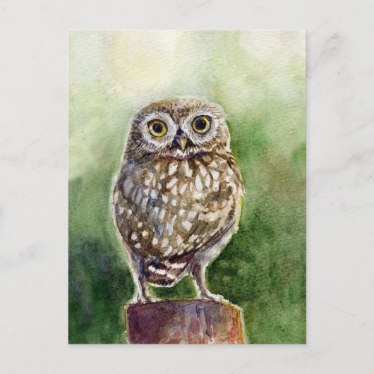 フクロウの絵画水色 ポストカード (正面)