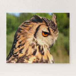 フクロウの群れ – 餌食の鳥。 ジグソーパズル