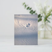 フクロウの羽が雪に刻まれている ポストカード (スタンド正面)