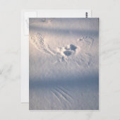 フクロウの羽が雪に刻まれている ポストカード (正面/裏面)
