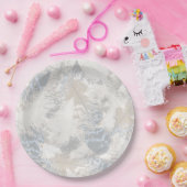 フクロウの羽，灰色，ベージュ，青，鳥，光， ペーパープレート (パーティー)