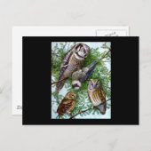 フクロウの芸術 ポストカード (正面/裏面)