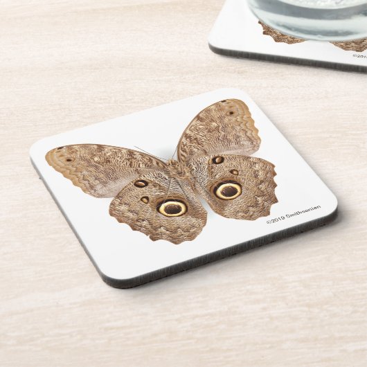 フクロウの蝶 コースター (左側)