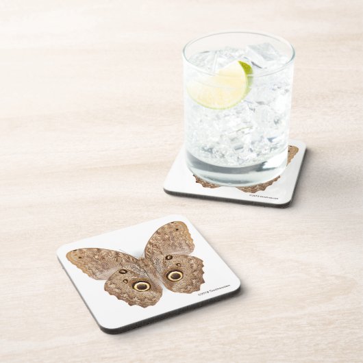 フクロウの蝶 コースター (右側)