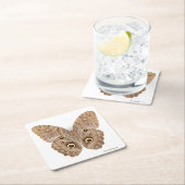フクロウの蝶 スクエアペーパーコースター (インサイチュ)