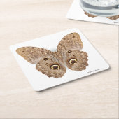 フクロウの蝶 スクエアペーパーコースター (アングル)
