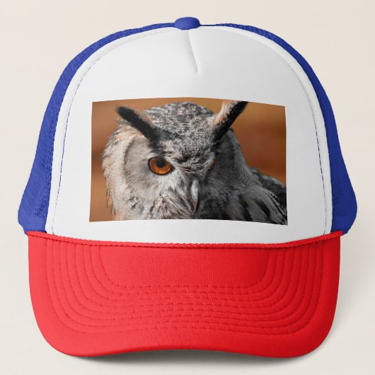 フクロウの視線 キャップ (正面)