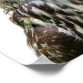 フクロウの野生の森林動物の写真 こっそり覗く ベビールーム ポスター (角)