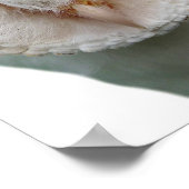 フクロウの野生動物の写真　こども部屋のチラ見せ ポスター (角)