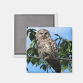 フクロウの針金 マグネット (正面/裏面)
