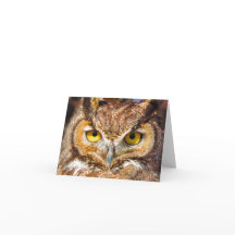 フクロウの頭 – 目素晴らし（角フクロウ）