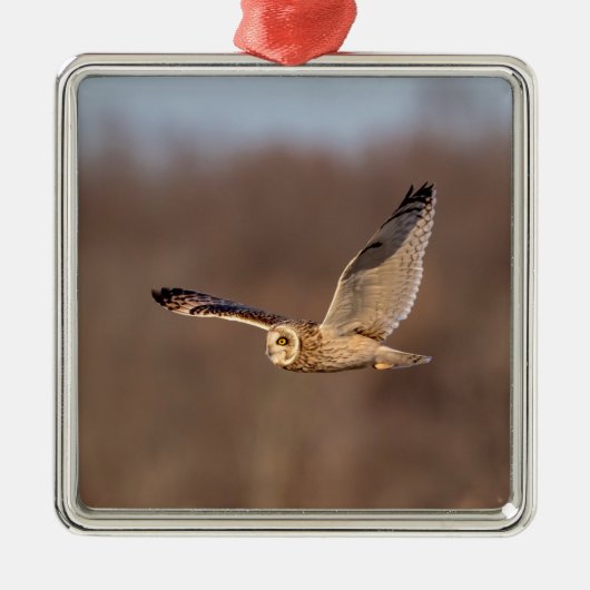 フクロウの飛翔中 メタルオーナメント (正面)