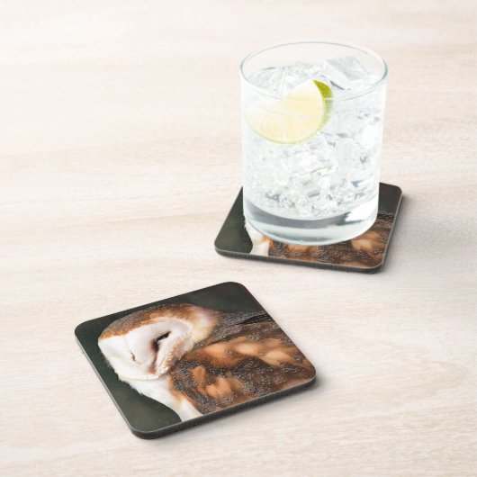 フクロウの餌鳥 コースター (右側)