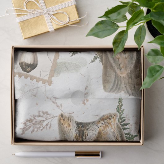 フクロウの鳥の木の国のキノコのエフェメラのデコップ 薄葉紙 (ギフト)