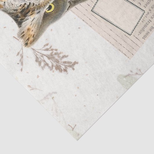 フクロウの鳥の木の国のキノコのエフェメラのデコップ 薄葉紙 (詳細)