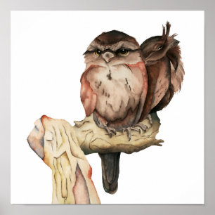 フクロウの鳥の絵画水色 ポスター
