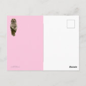 フクロウはいつもあなたを愛する ポストカード (裏面)