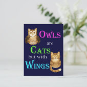 フクロウは羽のある猫だ ポストカード (スタンド正面)
