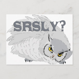 フクロウは？ ポストカード