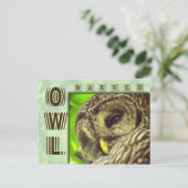 フクロウまたはフクロウ ポストカード (スタンド正面)