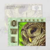フクロウまたはフクロウ ポストカード (正面/裏面)