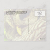 フクロウまたはフクロウ ポストカード (裏面)