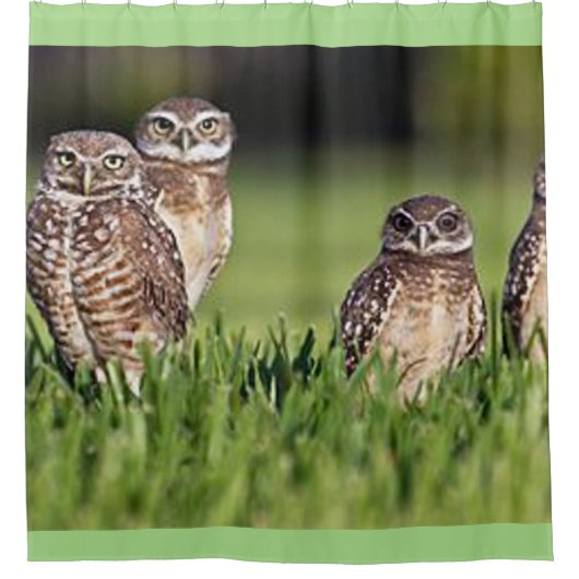 フクロウを掘り進むこと シャワーカーテン (正面)