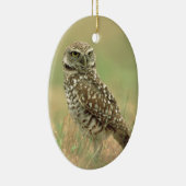 フクロウを掘り進むこと セラミックオーナメント (右)