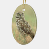 フクロウを掘り進むこと セラミックオーナメント (左)