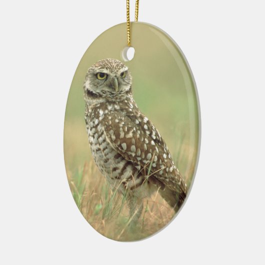 フクロウを掘り進むこと セラミックオーナメント (左)