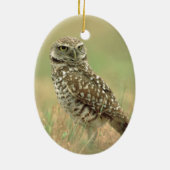 フクロウを掘り進むこと セラミックオーナメント (裏面)