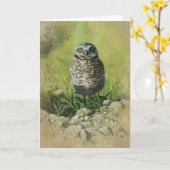 フクロウを掘り進んで、アンドリューDenmanによってGreetinカードを消して下さい カード (黄色い花)