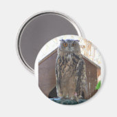 フクロウを見る マグネット (正面/裏面)