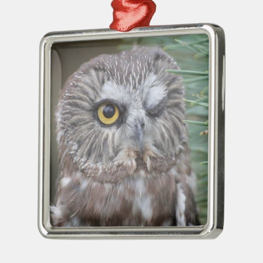 フクロウを鋸磨いて下さい メタルオーナメント (左)