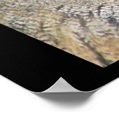 フクロウイル ポスター (角)