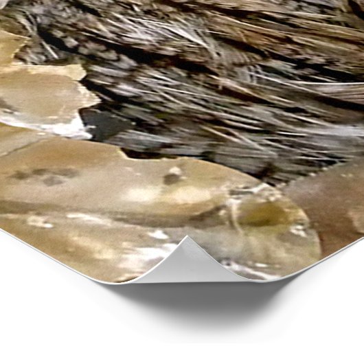 フクロウインク ポスター (角)