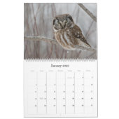 フクロウウォールカレンダー カレンダー (1月 2026)