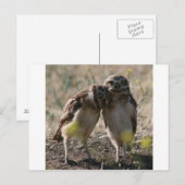 フクロウカップル葉書 ポストカード (正面/裏面)