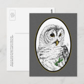 フクロウカメオ葉書 ポストカード (正面/裏面)