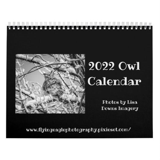 フクロウカレンダー2022 カレンダー (カバー)