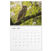 フクロウカレンダー – 壮麗なフクロウと季節の野生生物, カレンダー (3月 2027)