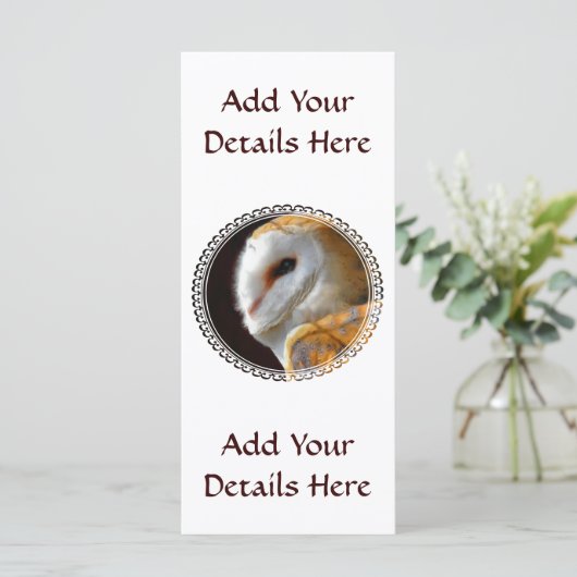 フクロウカード (スタンド正面)