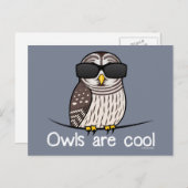 フクロウクールズ ポストカード (正面/裏面)