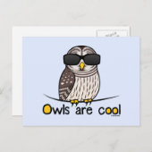 フクロウクールズ ポストカード (正面/裏面)