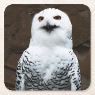 フクロウコースタークン スクエアペーパーコースター