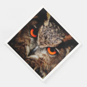 フクロウズワシ (コーナー)