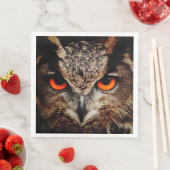 フクロウズワシ (インサイチュ)