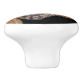 フクロウチョウが閉じる  セラミックノブ (側面)